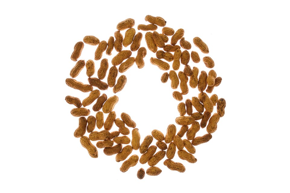 Sarmiento salt dried fruits and nuts
