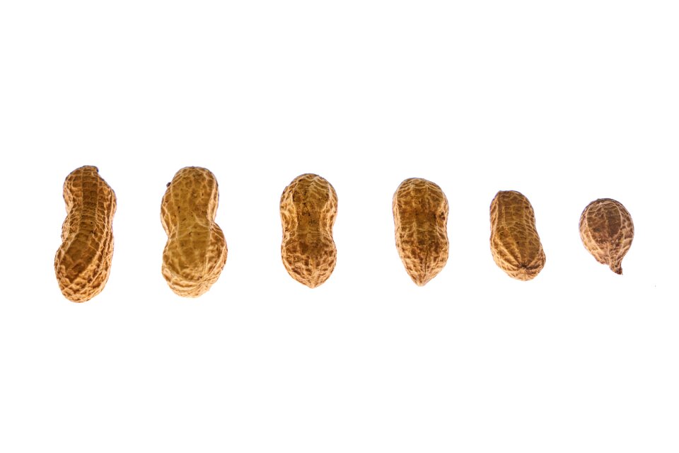 Sarmiento salt dried fruits and nuts