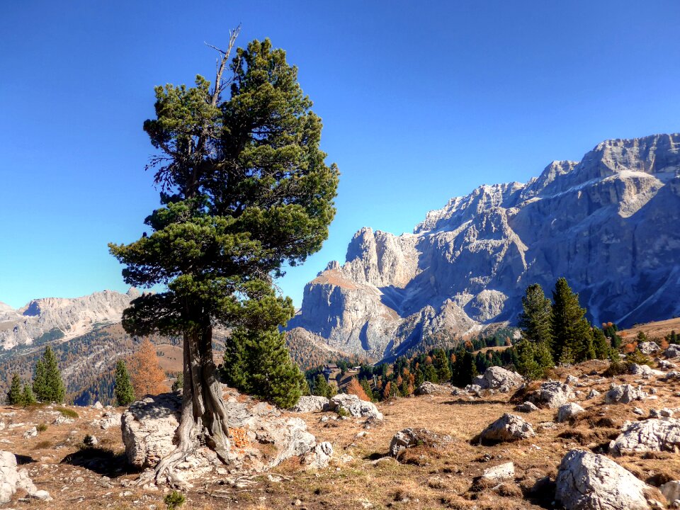 Nature sella group italy