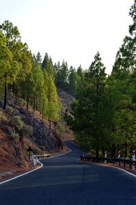 Hill winding path