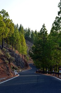 Hill winding path photo