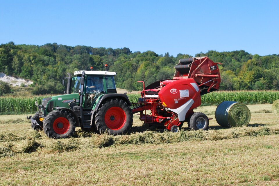 Field balls round hay