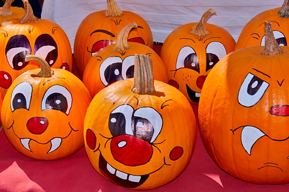 Autumn funny decoration