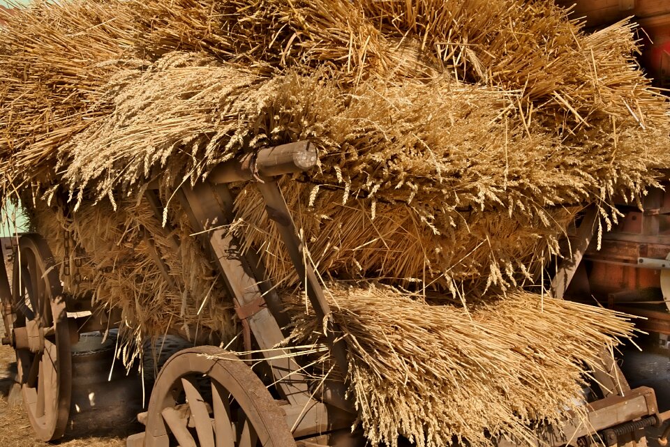 Agriculture historically covered wagon