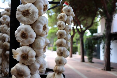 Market vegetable market season