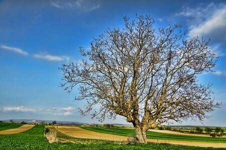 Landscape panorama grass photo