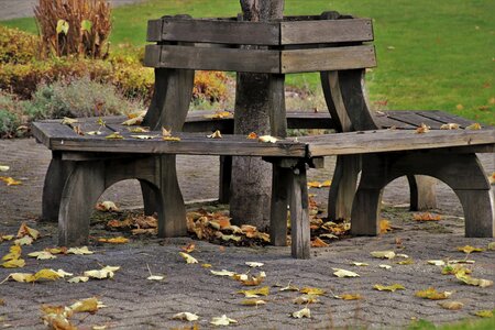 Park in the fall seat