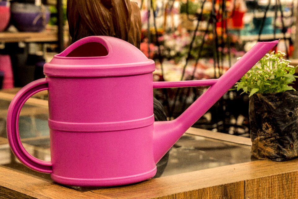 Plant wet watering can pink