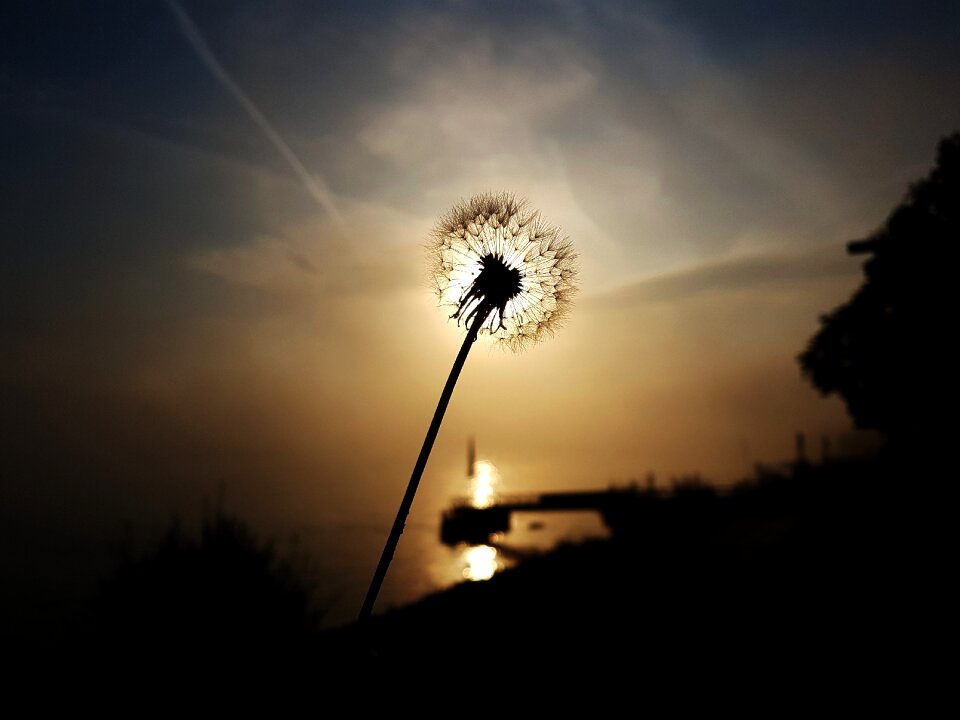 Backlighting nature sky