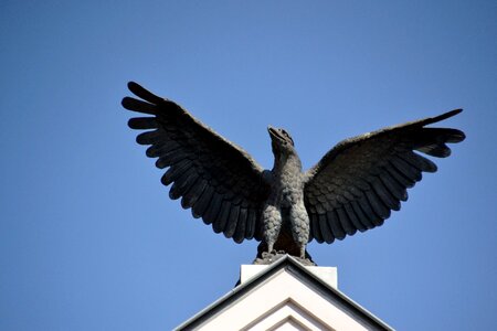Architecture bird deco