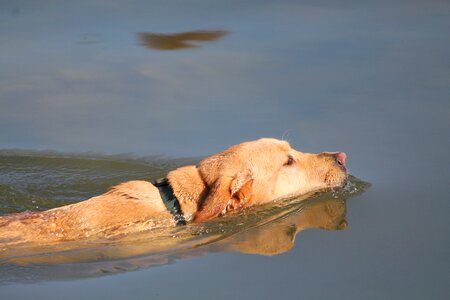 Water face nose