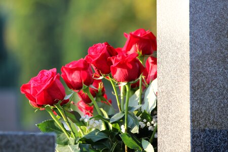 Love grave gravestone photo