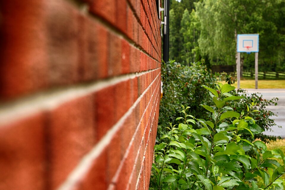 Building brick wall plant