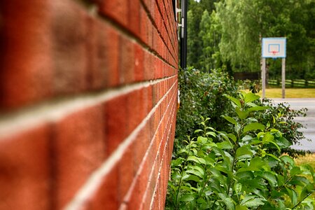 Building brick wall plant photo