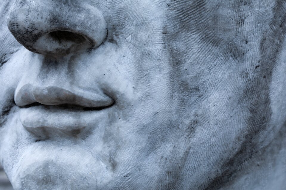 Figure art portrait
