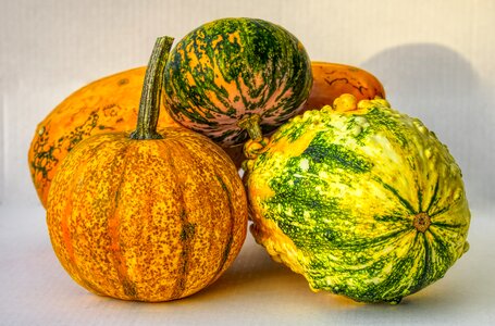 Autumn autumn decoration pumpkins