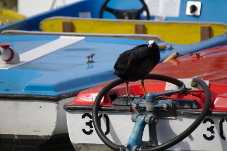 Sea nature sailing boat