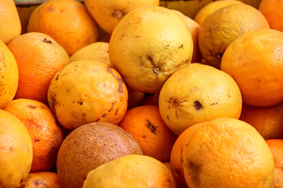 Fruit vitaminhaltig delicious