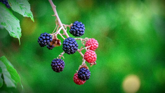 Healthy fresh food