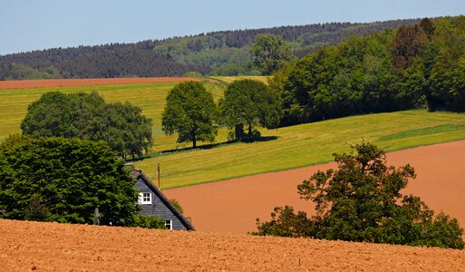 Fields arable nature photo