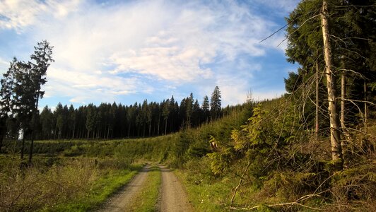 Remblinghausen meschede nature photo