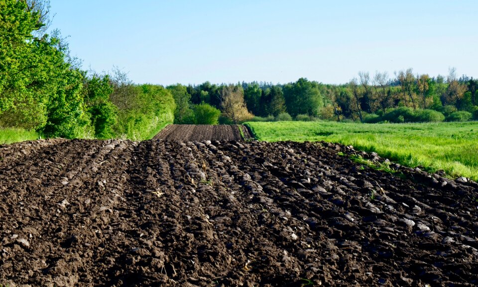 Agriculture spring plowed