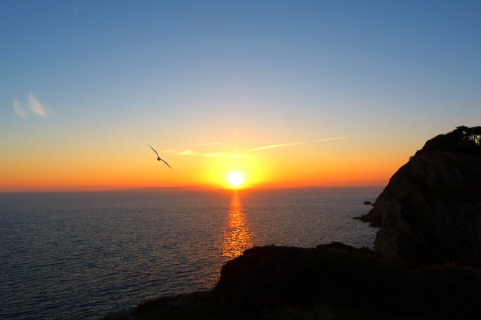 England seagull travel