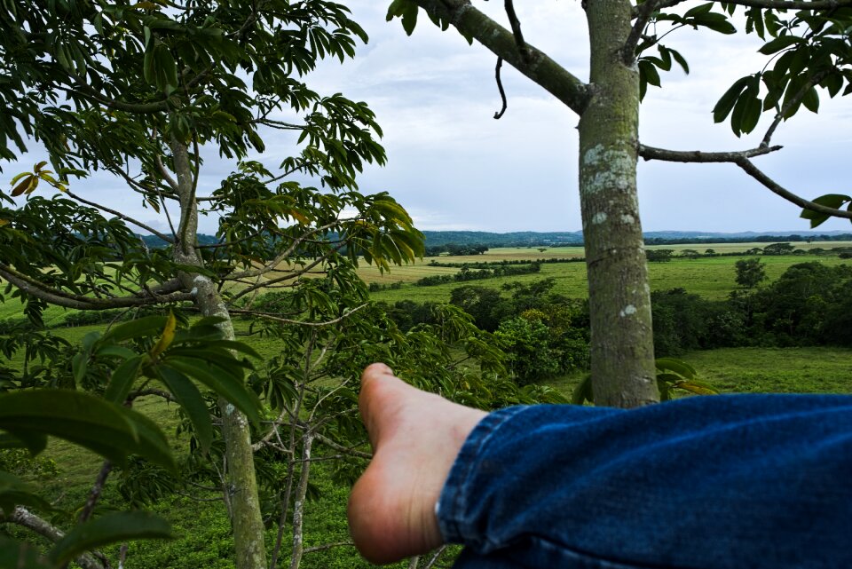 Relaxation nature travel