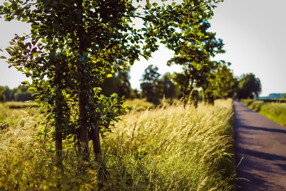 Nature scenic scenery