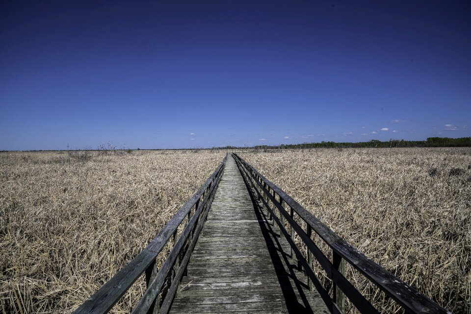 Landscapes sky wood