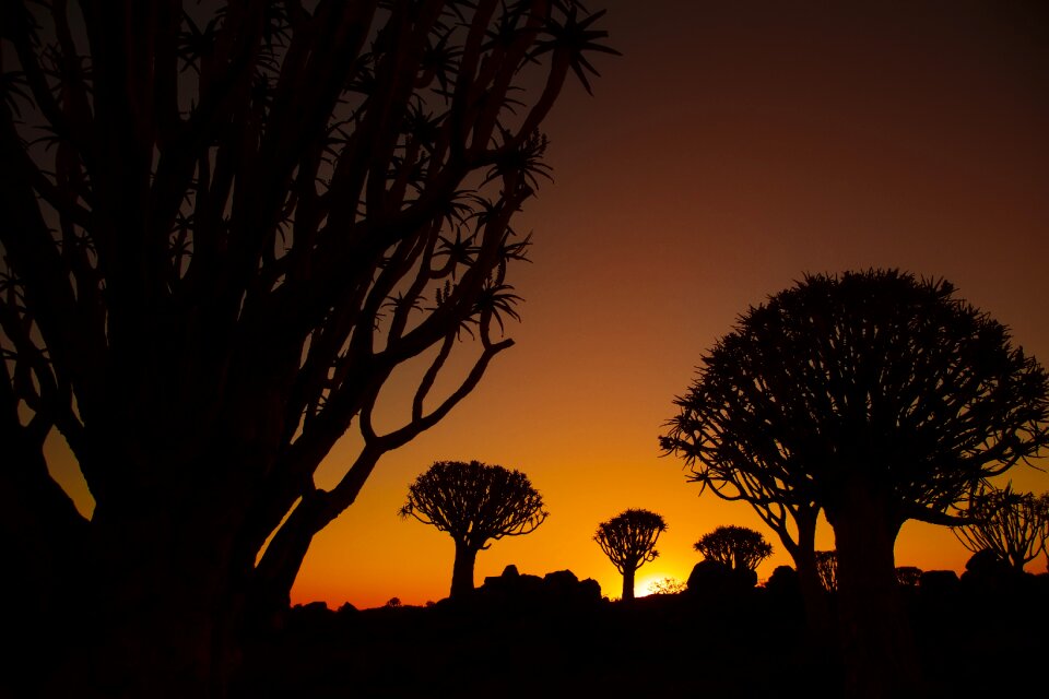 Nature namibia landscape