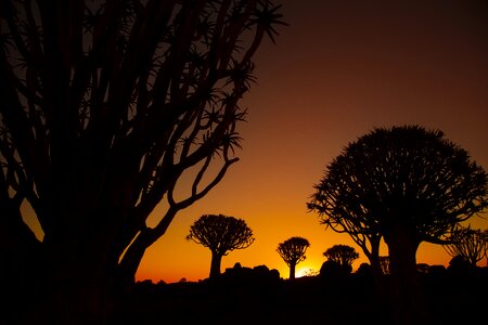 Nature namibia landscape photo