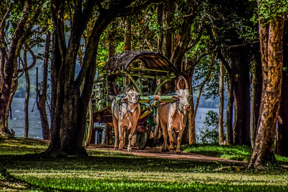 Travel tourism lifestyle