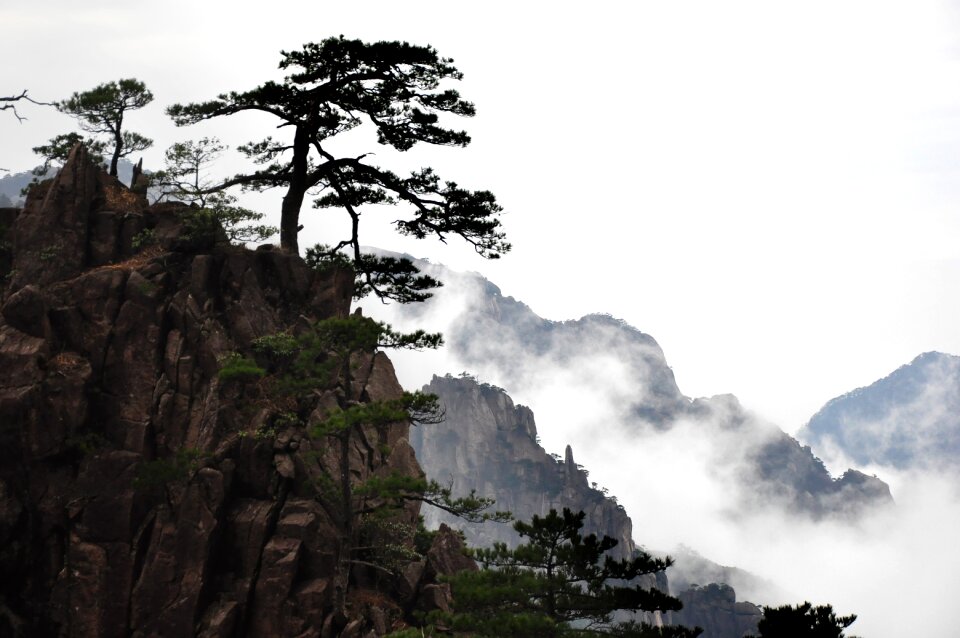 Rock tourism huangshan