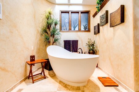 Bathroom bathtub interior design photo