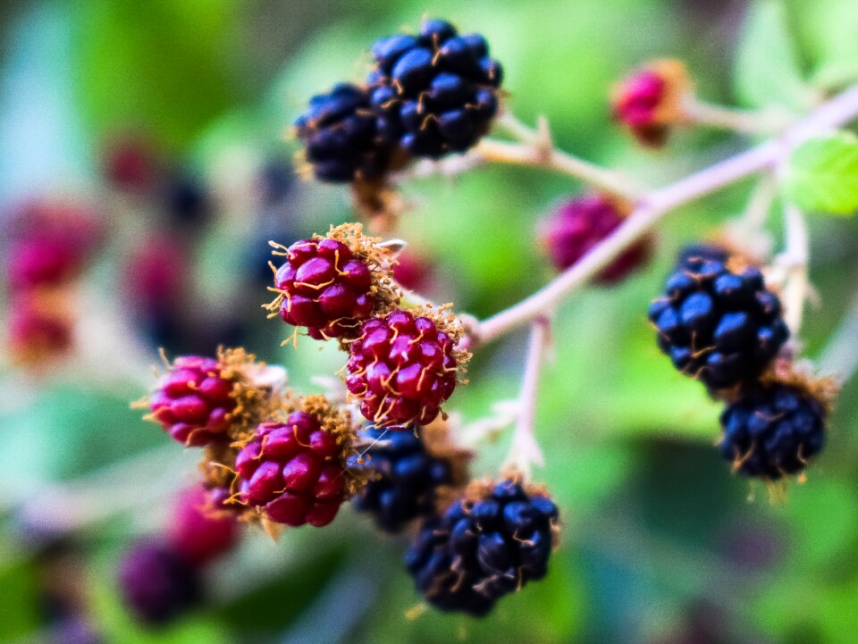 Healthy delicious fresh