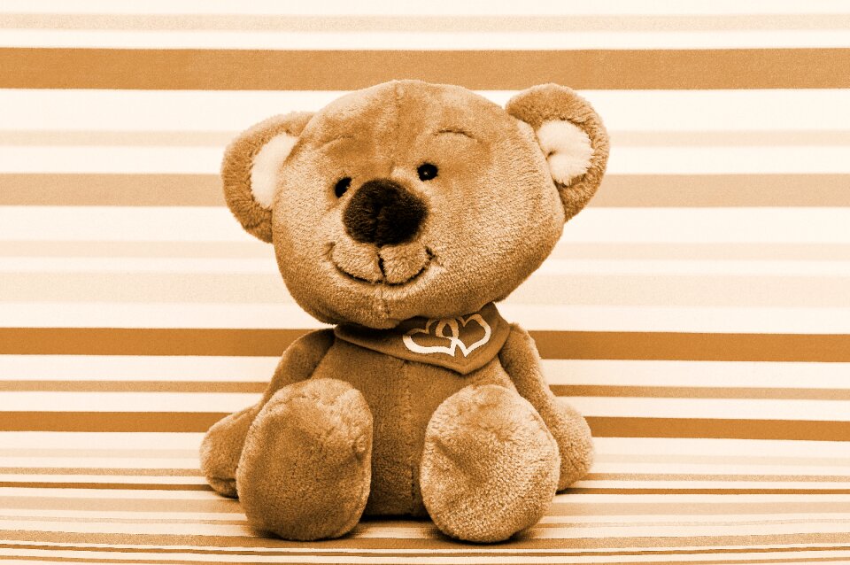 Furry teddy bear cute bears