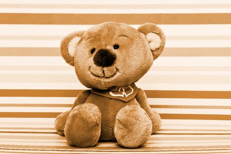 Furry teddy bear cute bears