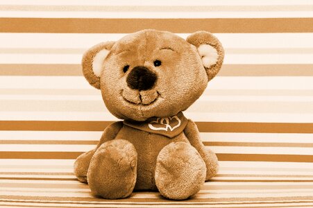 Furry teddy bear cute bears photo