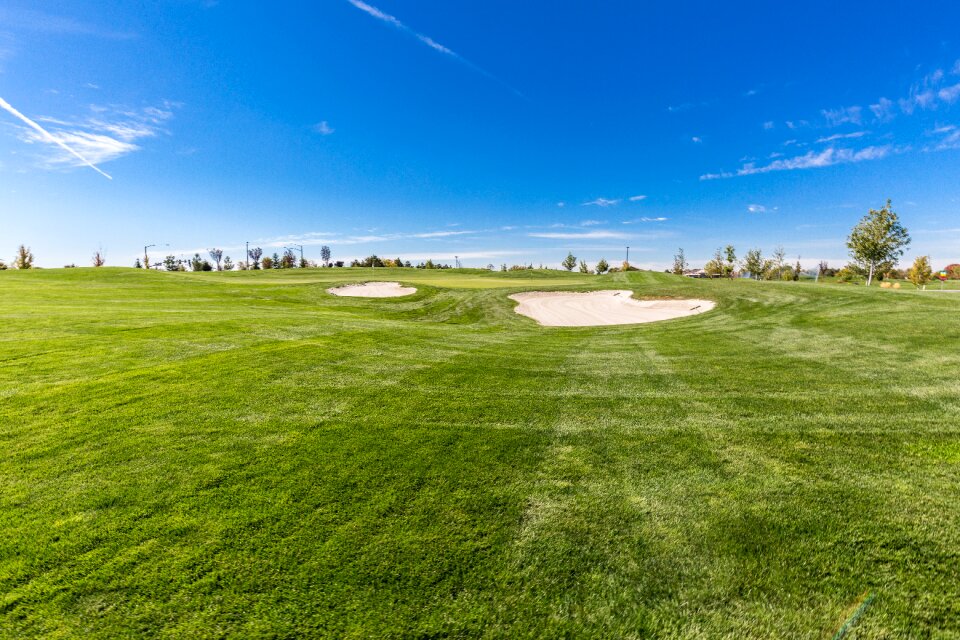 Sky trees country club