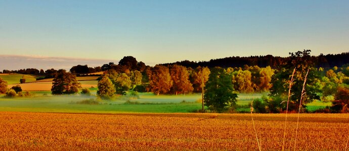 Ground fog sunrise nature photo