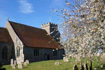 Isle of wight spring blossom
