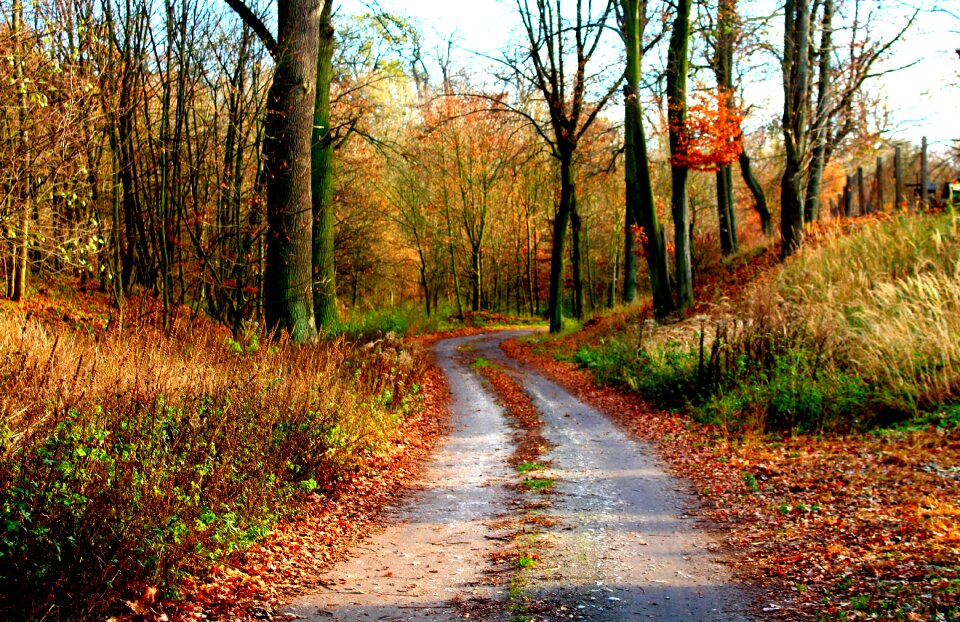 Spacer autumn weather the path