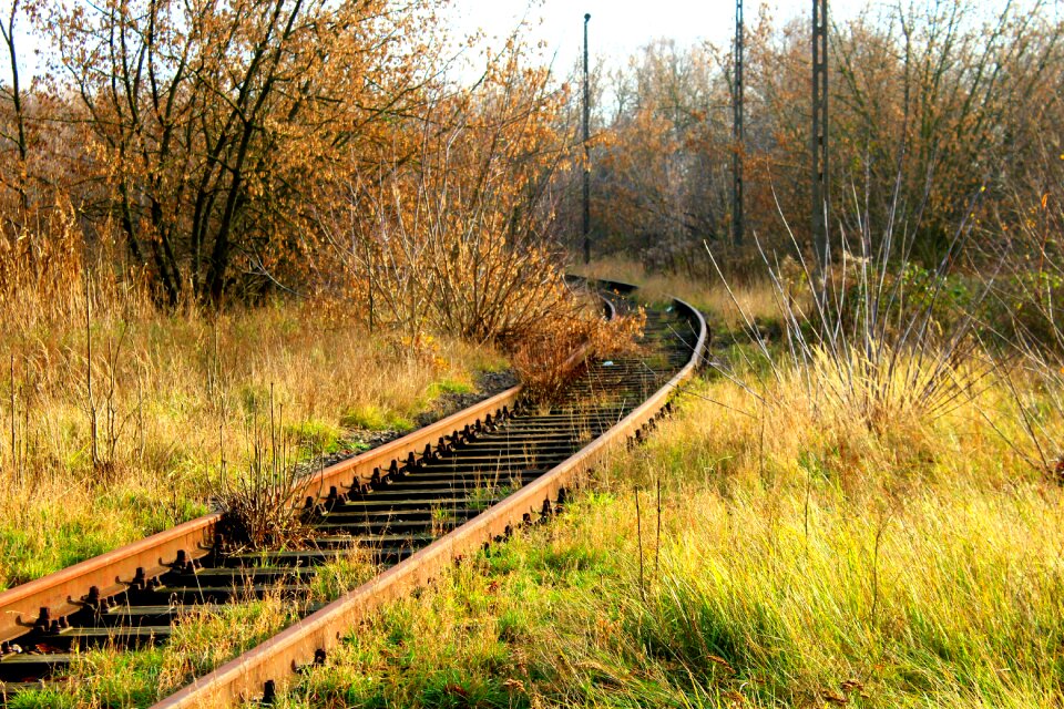 Transport tracks abandoned photo