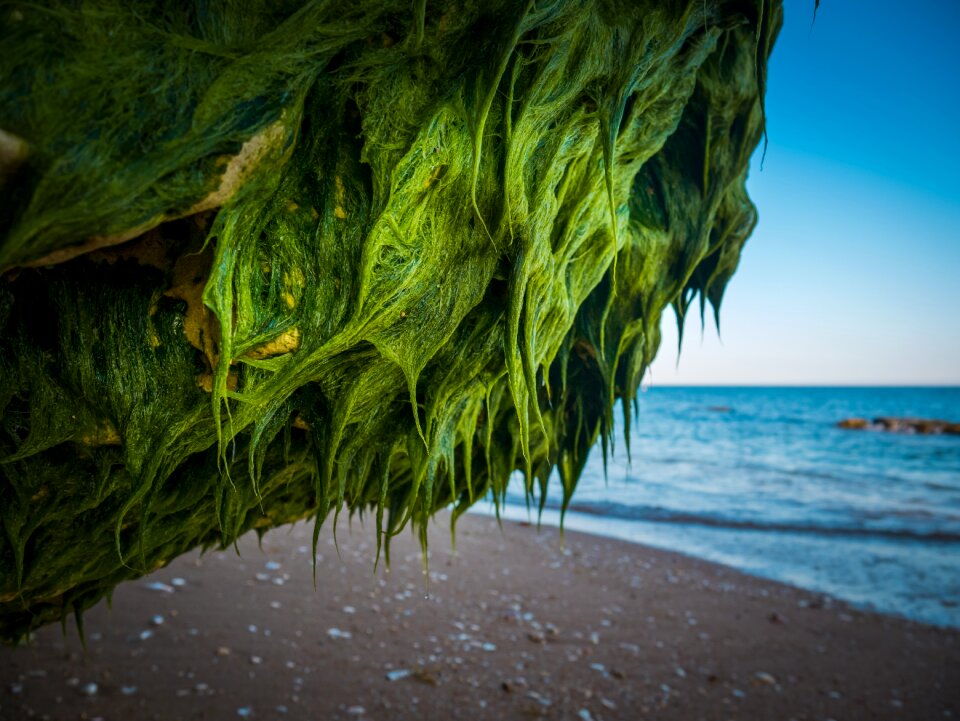 Beach water nature photo