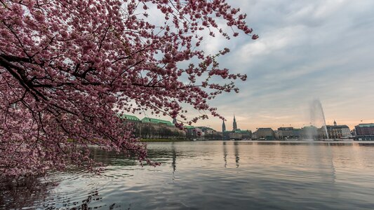Landscape waters alster