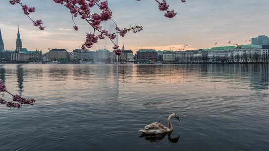 Travel sea alster