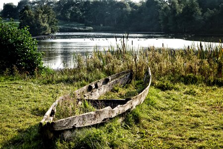 Rest grass old