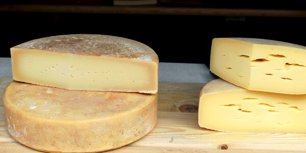 Hard cheese delicious eat