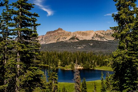 Uinta mountains utah